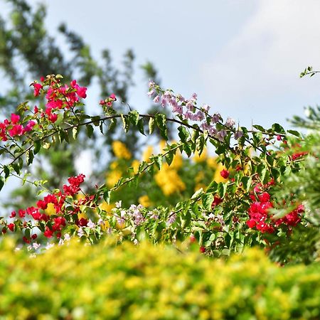 Tanzanice Farm Lodge Карату Екстериор снимка