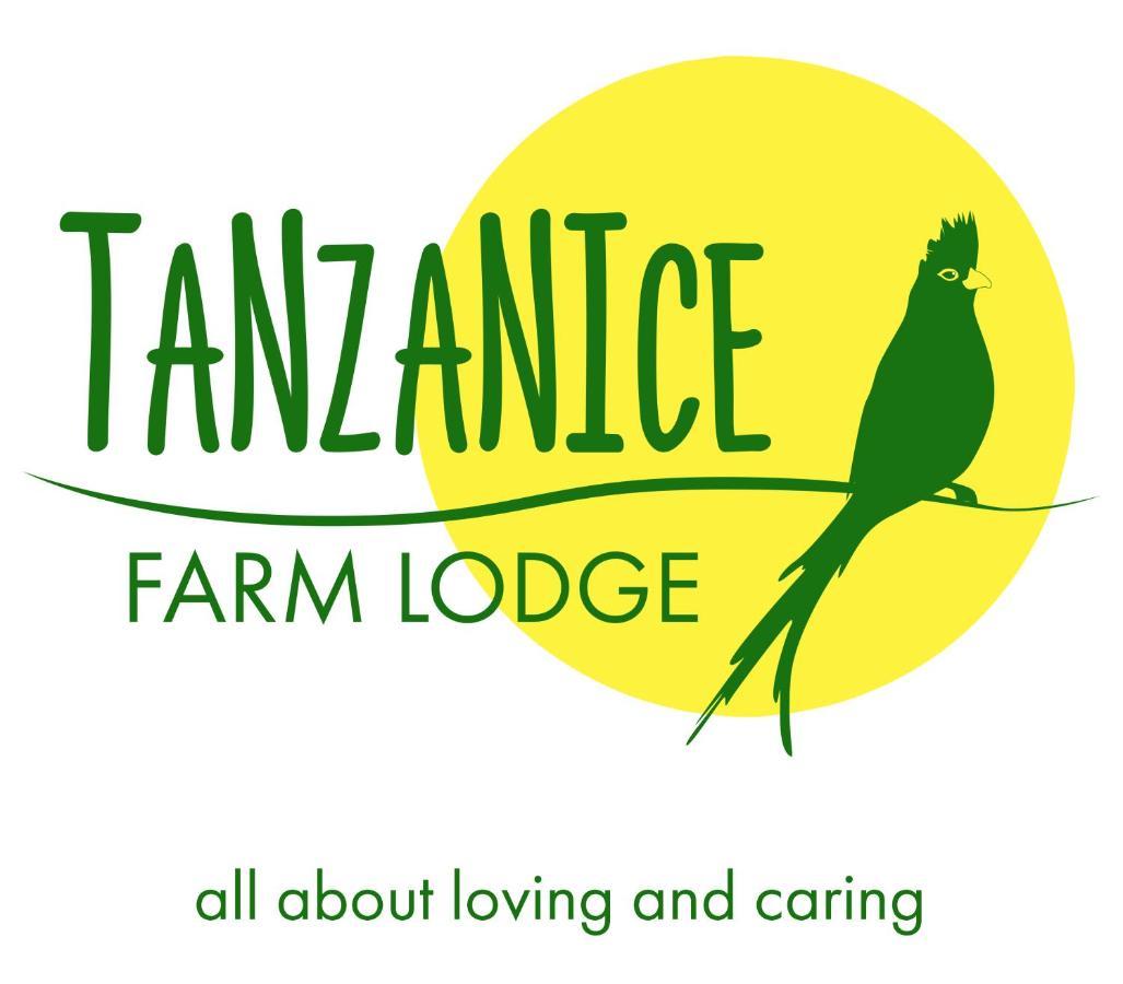 Tanzanice Farm Lodge Карату Екстериор снимка