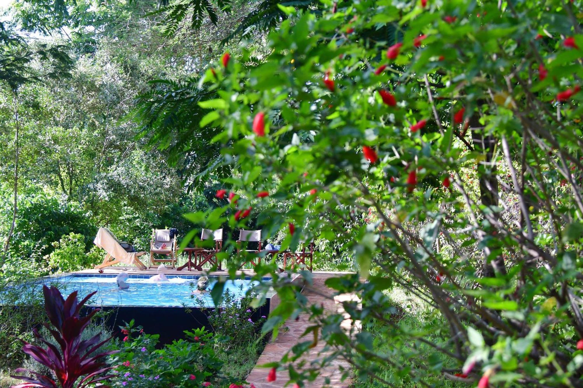 Tanzanice Farm Lodge Карату Екстериор снимка